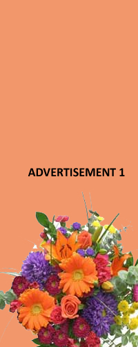 advt4